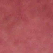Colour Washed Walls